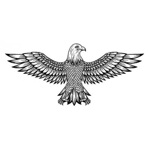 Detailed flying eagle