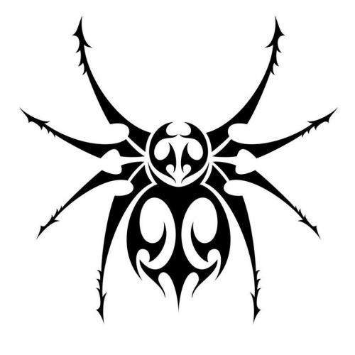 Tribal spider