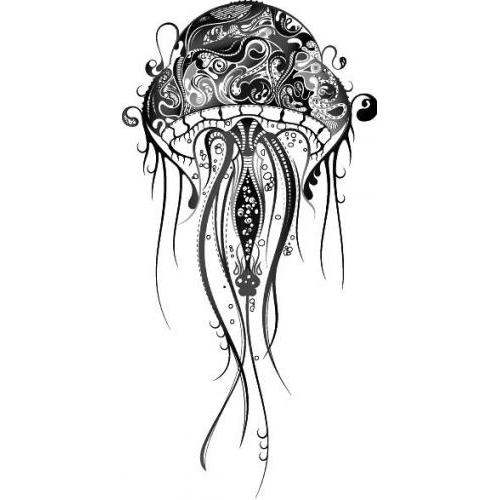 Zen detailed jellyfish