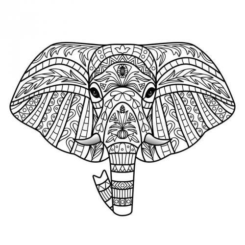 Zen elephant