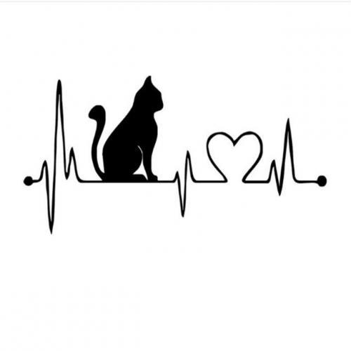 Cat heart line