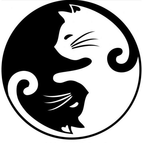 Cat ying yang