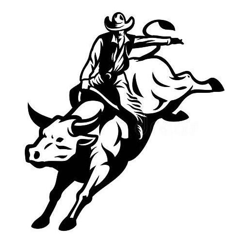 Cowboy rodeo bull rider