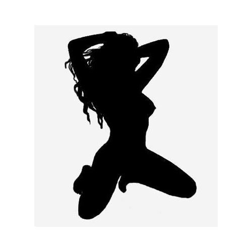 Sexy lady silhouette