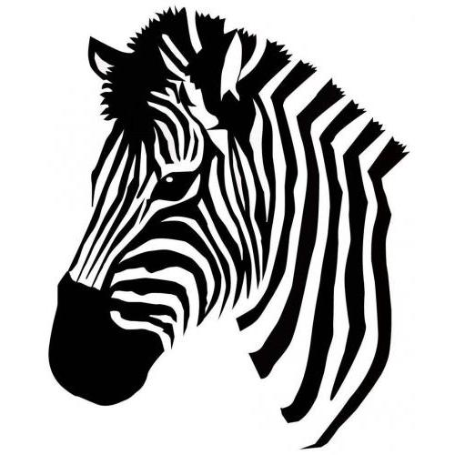 Zebra head