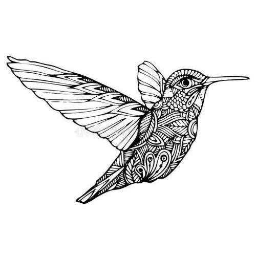 Zen hummingbird